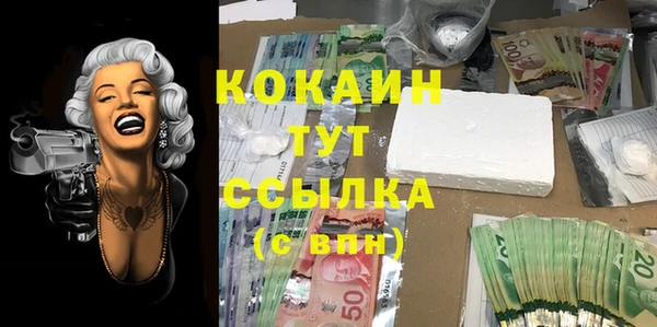 COCAINE Богородицк